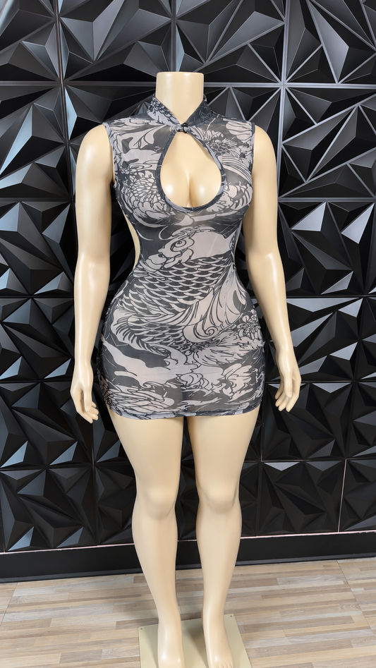 Mesh Dress